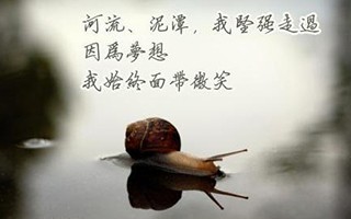 銷(xiāo)售管理的完善