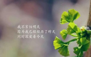 消費(fèi)行為